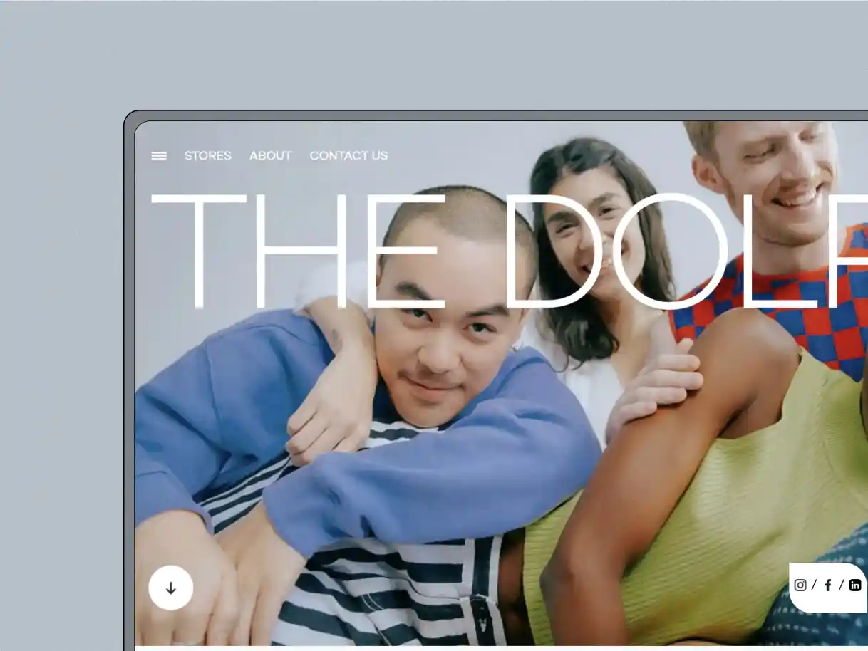 The Dolphin – Frontend projesi
