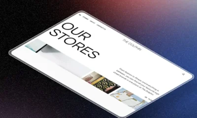 The Dolphin – Frontend projesi ekran görüntüsü 3