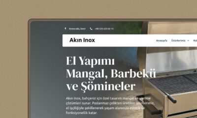 Akın Inox – Wordpress projesi