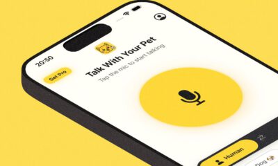 Petty – Chat With Pet – React Native projesi